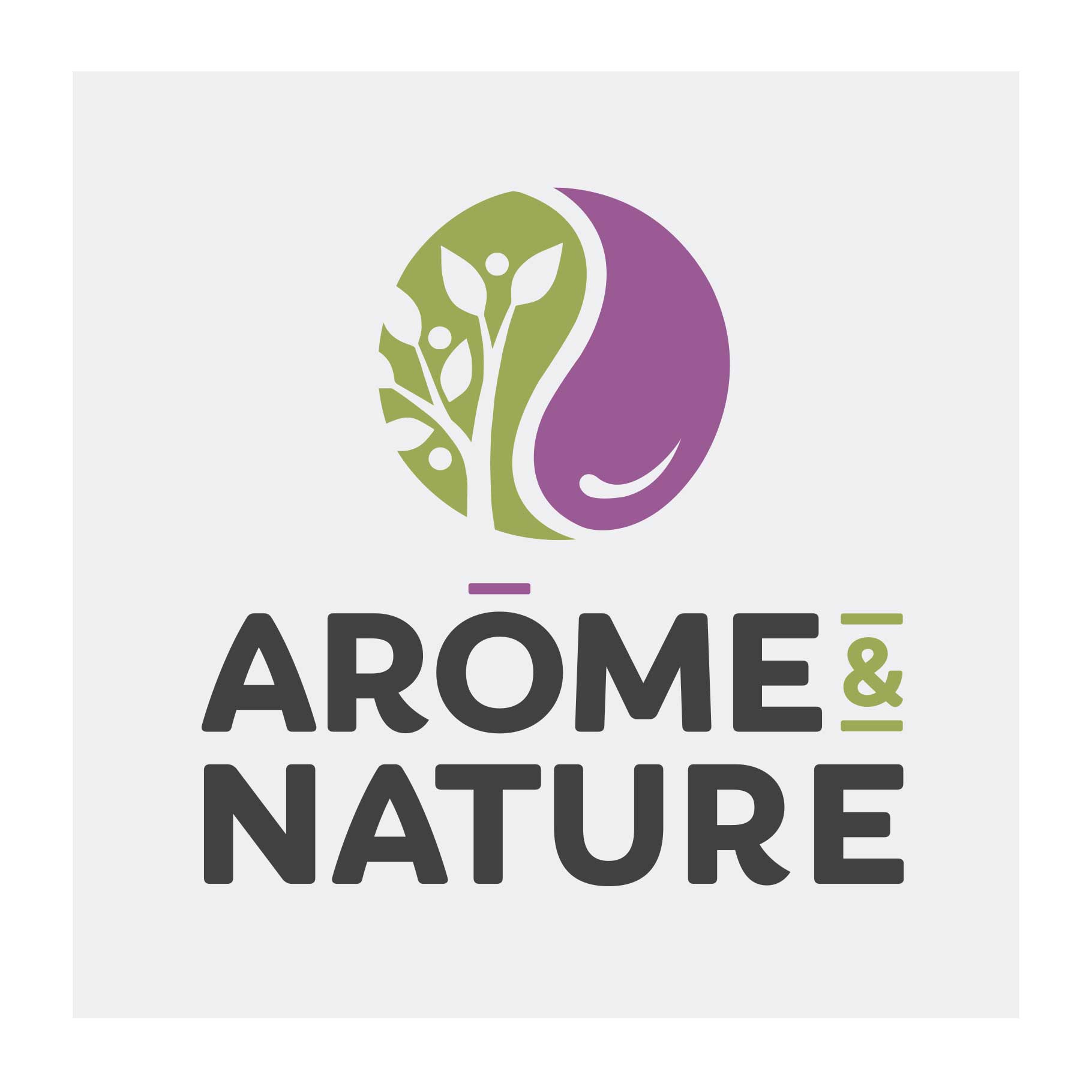 AROMES-ET-NATURE_logo-seul_1820x1820